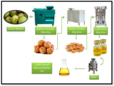  Walnuts Olie Extractie En Biobrandstof Potentiëel?